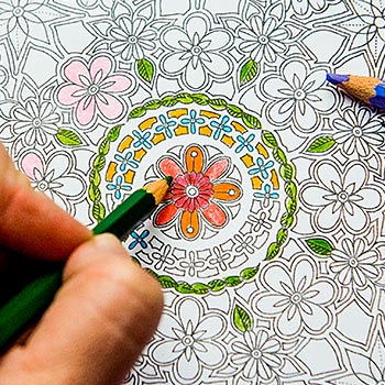 Image for event: Adult Coloring: Harvest Time