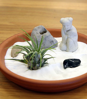 Image for event: De-stress With a Mini Zen Garden