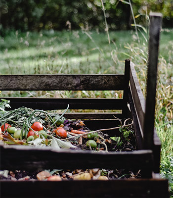 Image for event: Home Composting 101