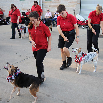 Image for event: Doggy Drill Team