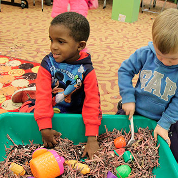 Image for event: Sensory Bin How-to